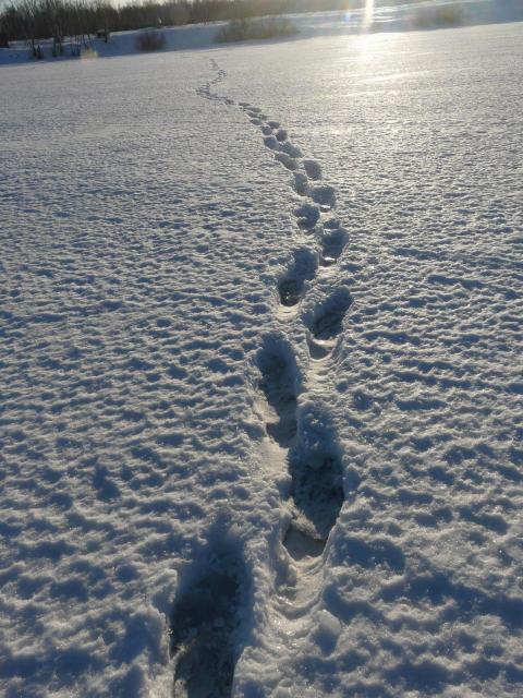 186