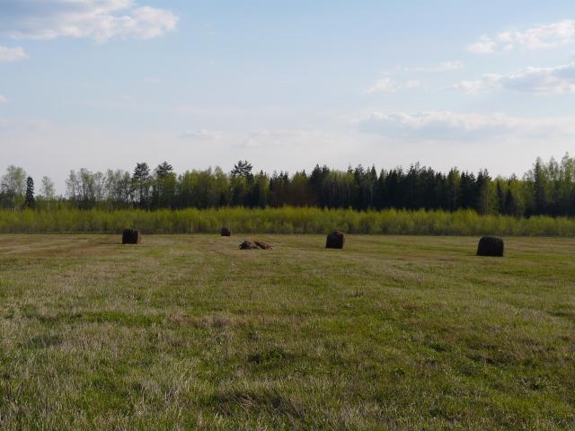 P1020387