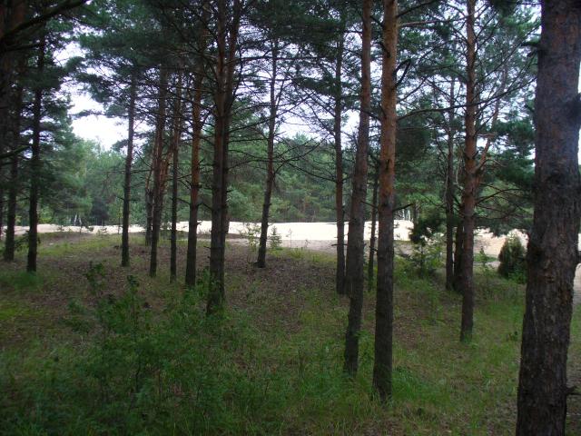 P1080378