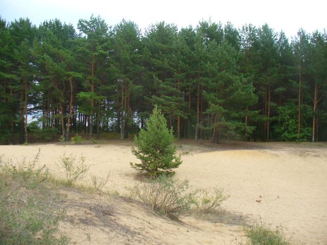 P1080381