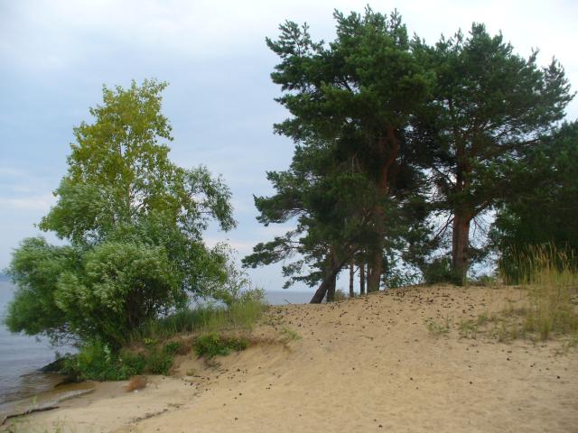 P1080419