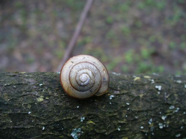 P1110541