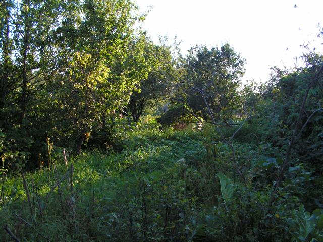 PICT0649