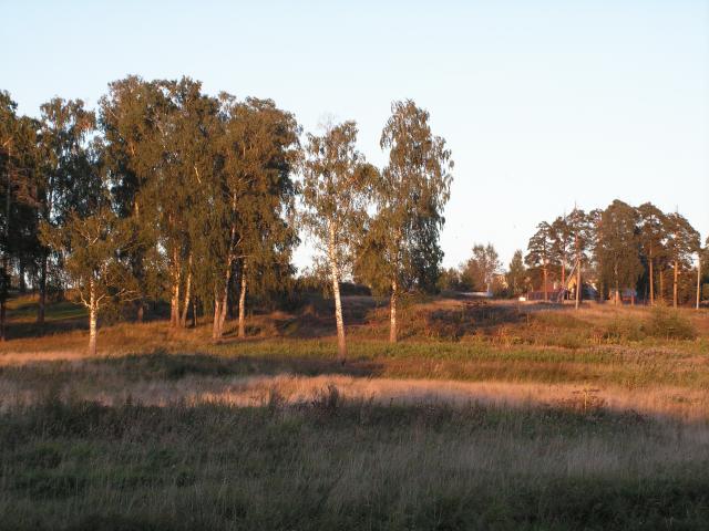 PICT0733