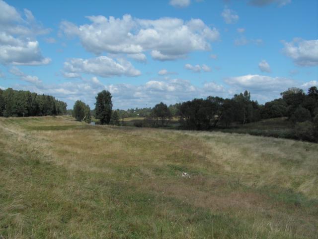 PICT0770