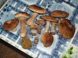 PICT2425