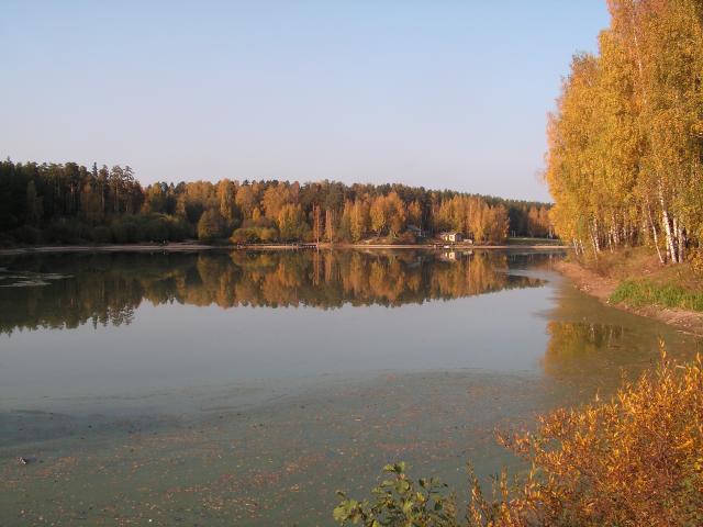 PICT2474